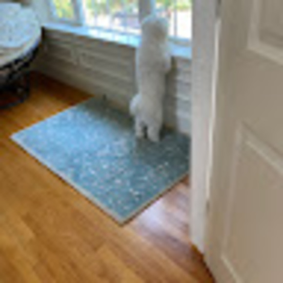 Meet your Posher, Sebika - Picture 1 of 1